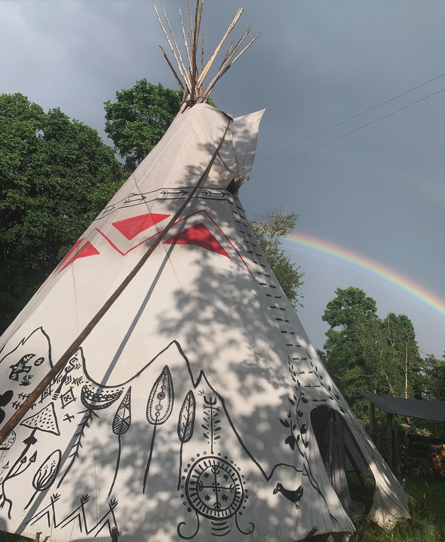 Wildlife & Camping 1